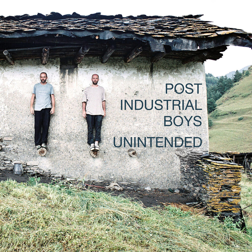 Picture of Unintended