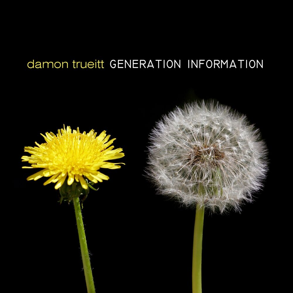 Picture of Generation Information
