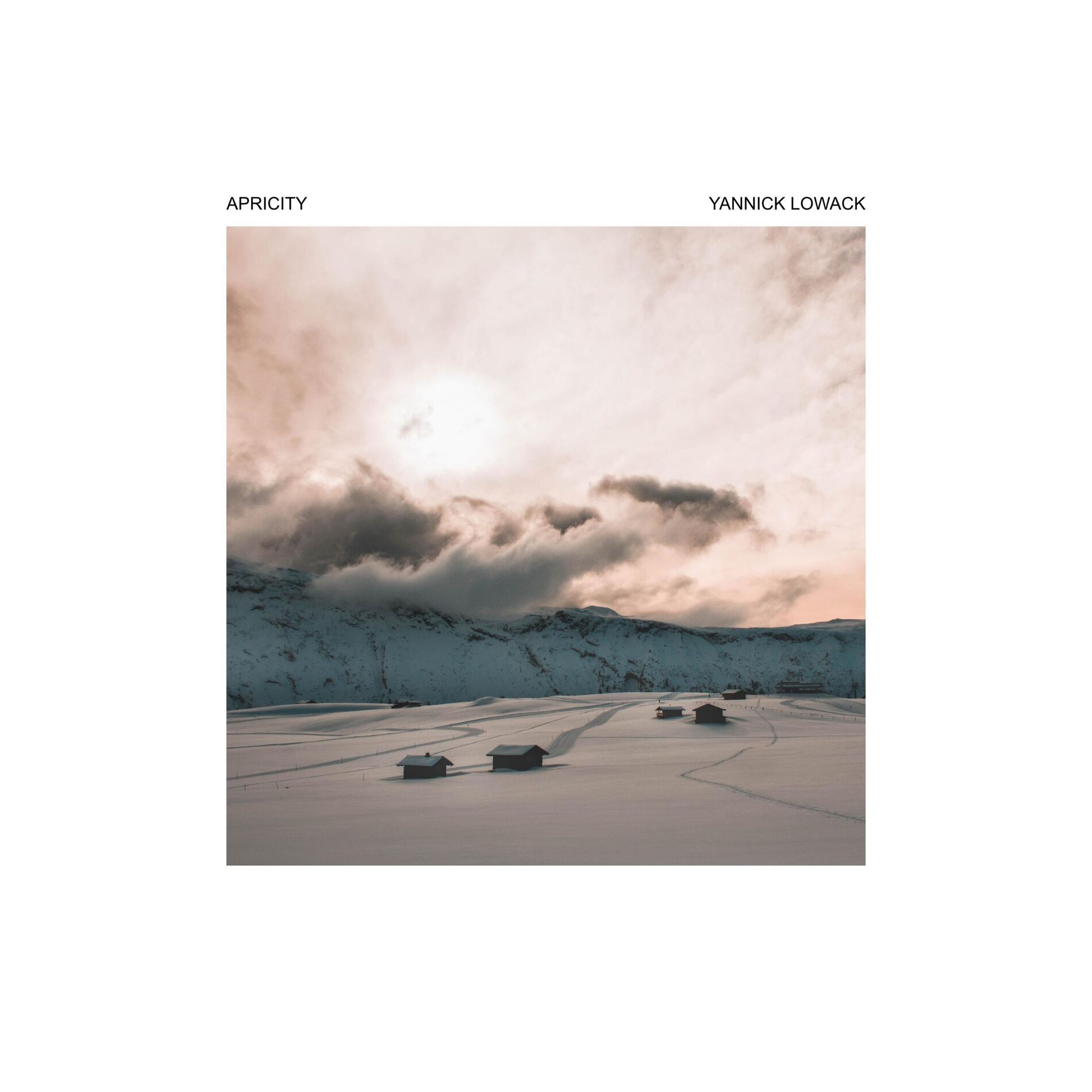 Album cover of Apricity