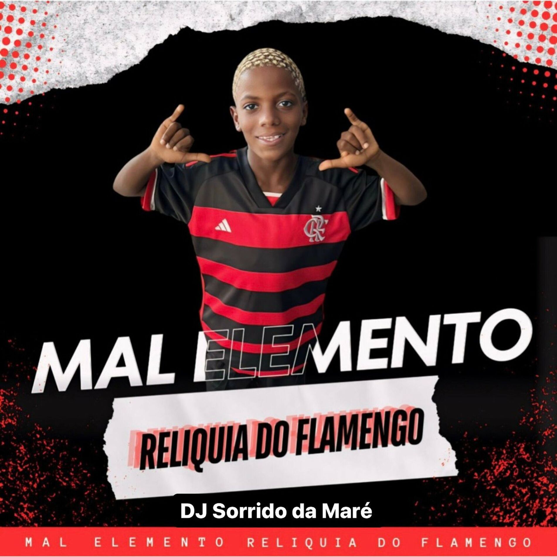 Album cover of Relíquia do Flamengo