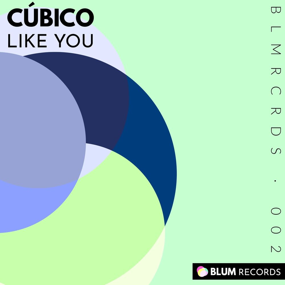 Picture of Like You