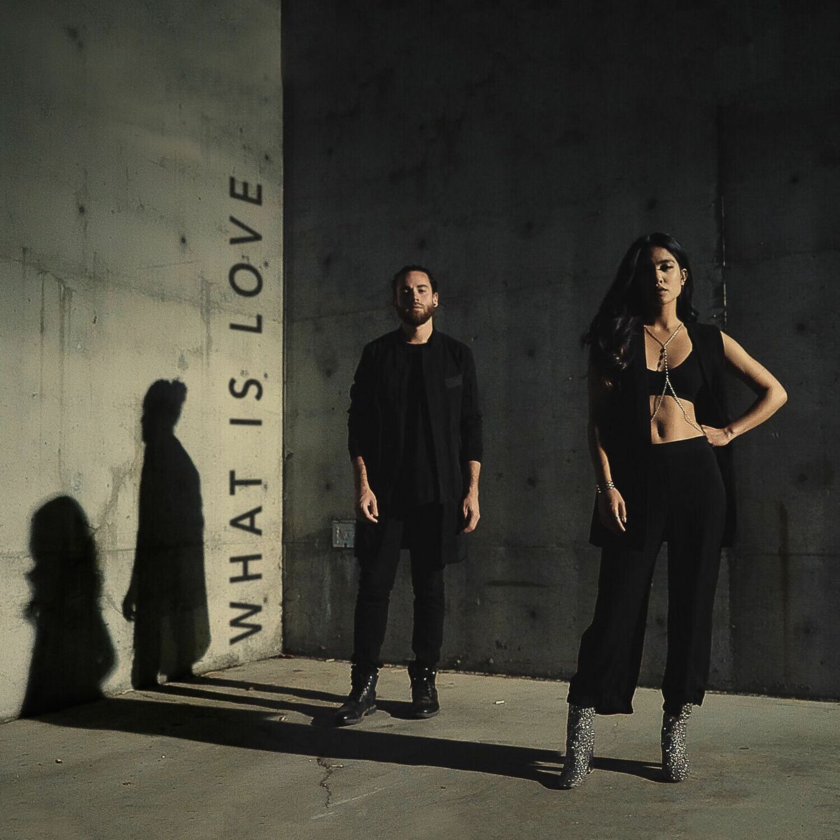 Album cover of What Is Love