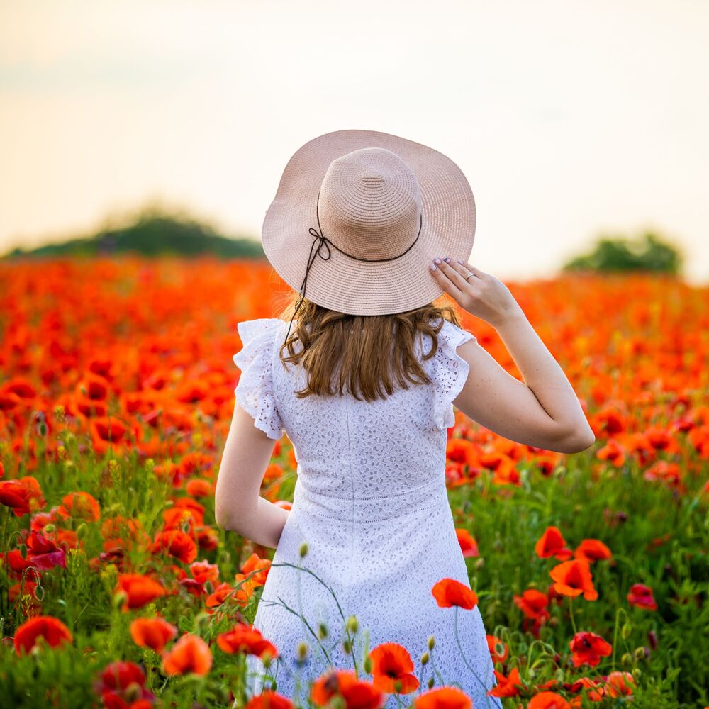 Picture of Nature's Serendipity: Songs of Blossoming Meadows
