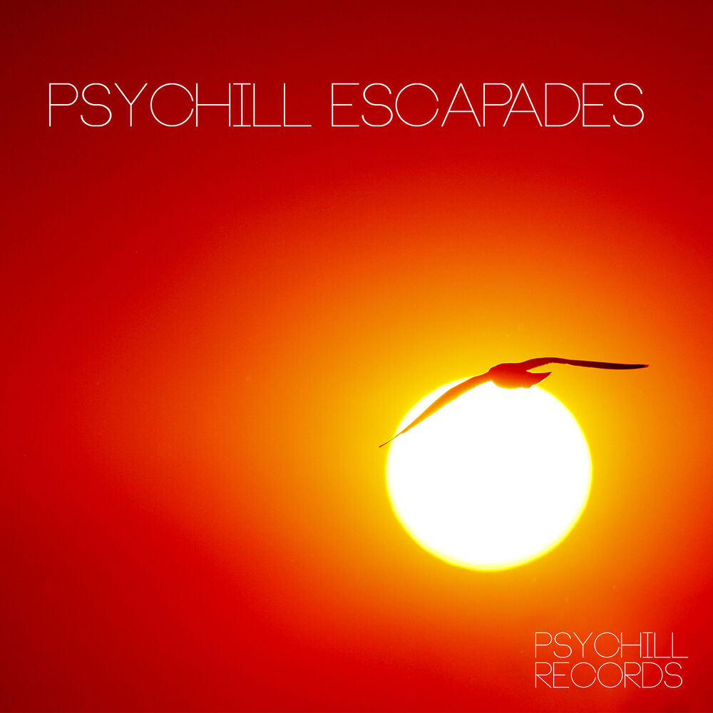 Picture of Psychill Escapades