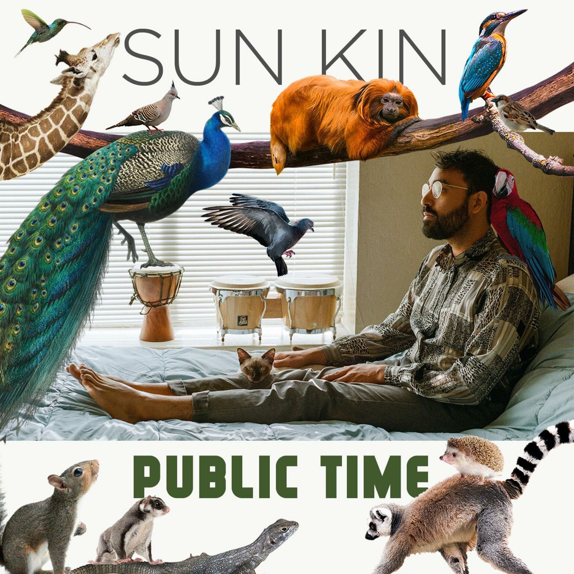 Album cover of Public Time