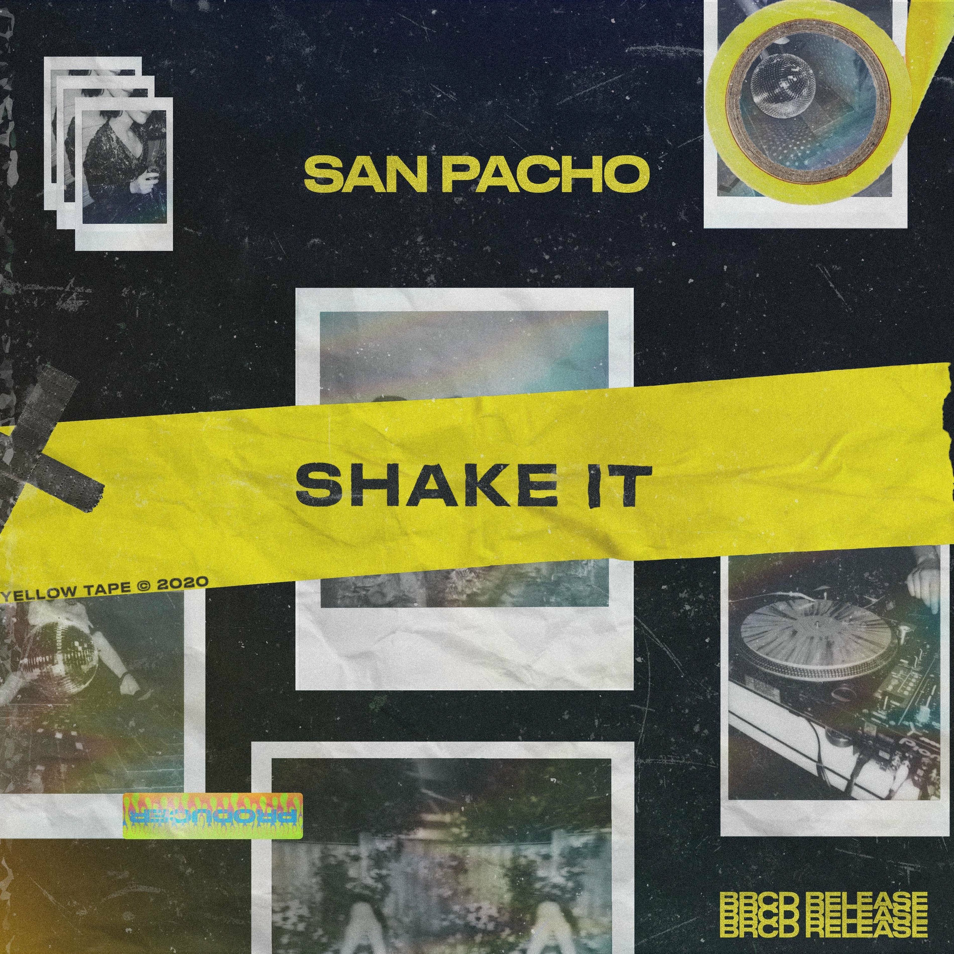 Album cover of Shake It