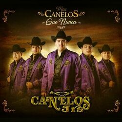 Cover of Más Canelos Que Nunca