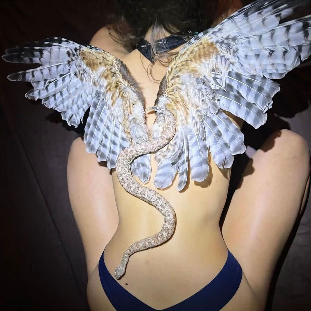 Album cover of DWMF