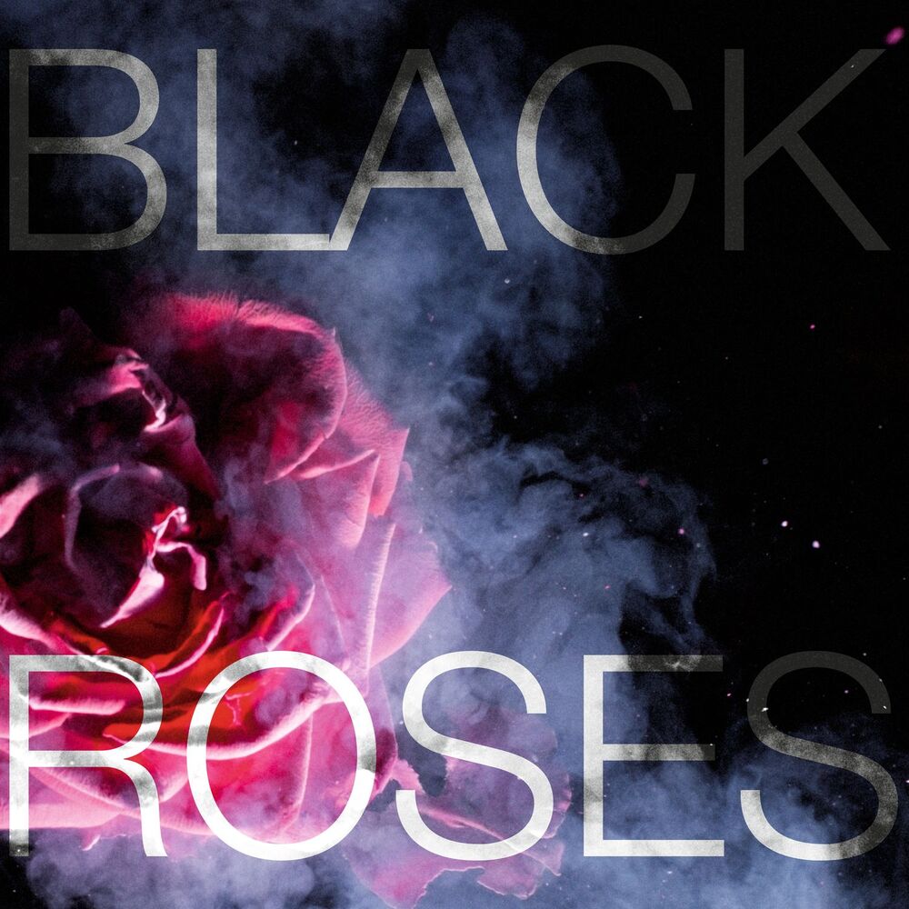 Picture of Black Roses