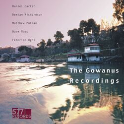 Cover of The Gowanus Recordings