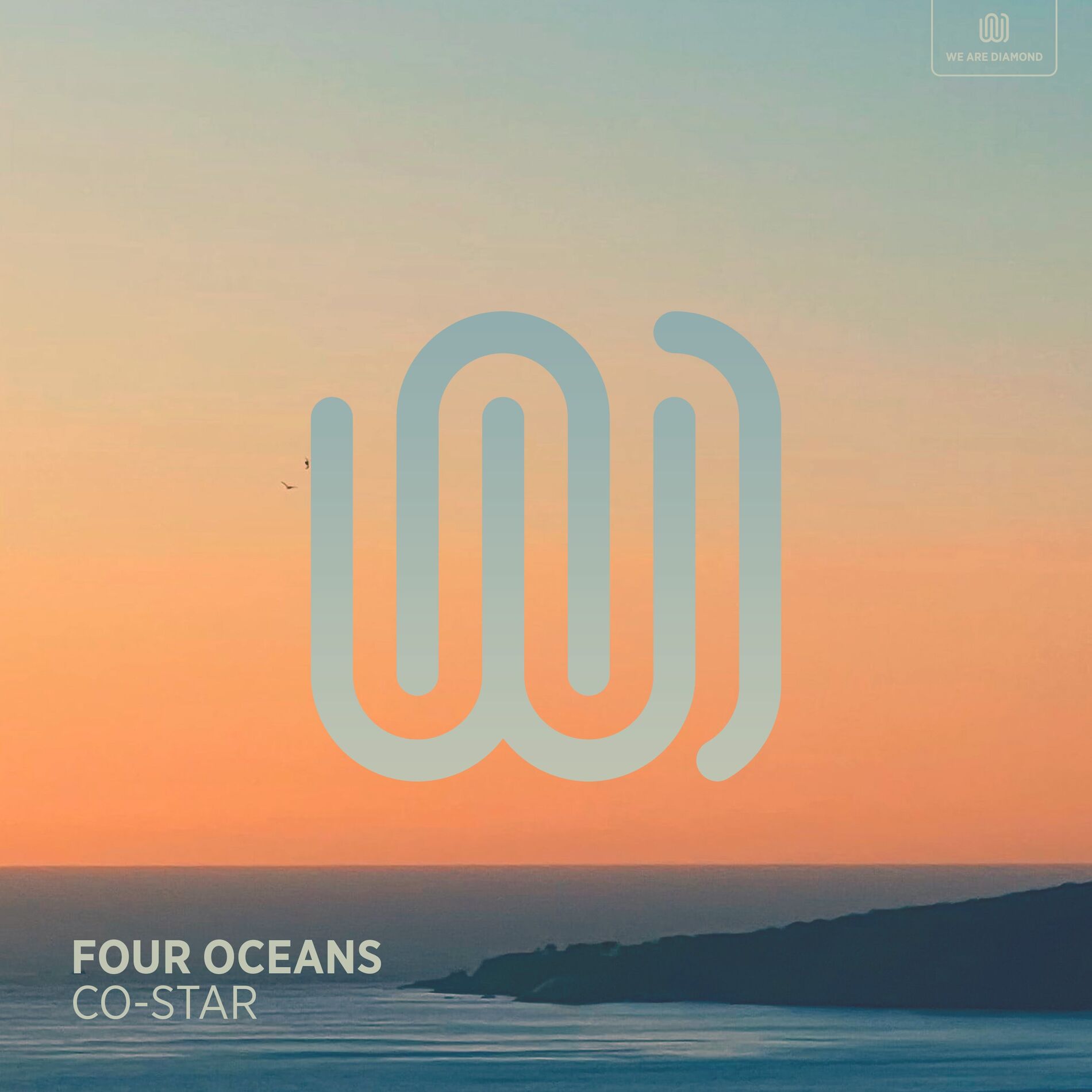 Album cover of Co-Star