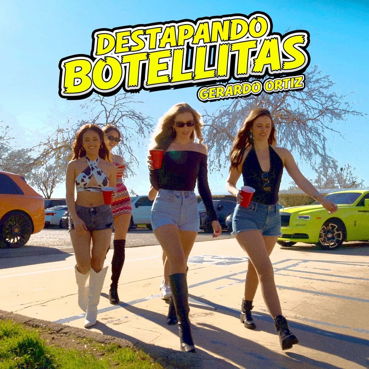 Album cover of Destapando Botellitas