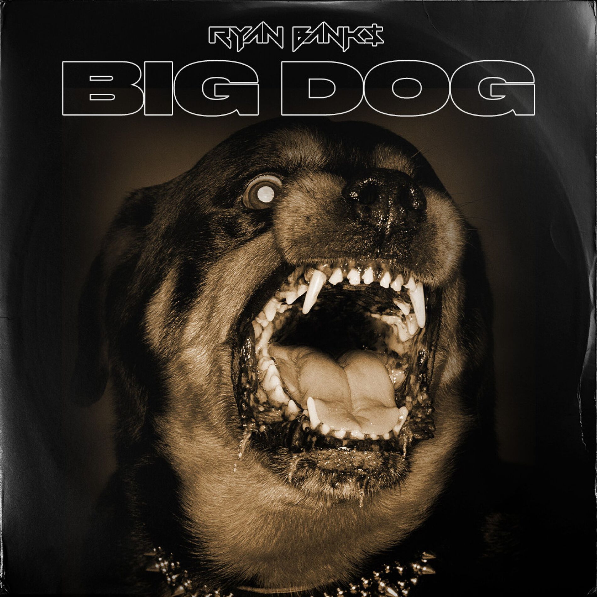 Album cover of Big Dog