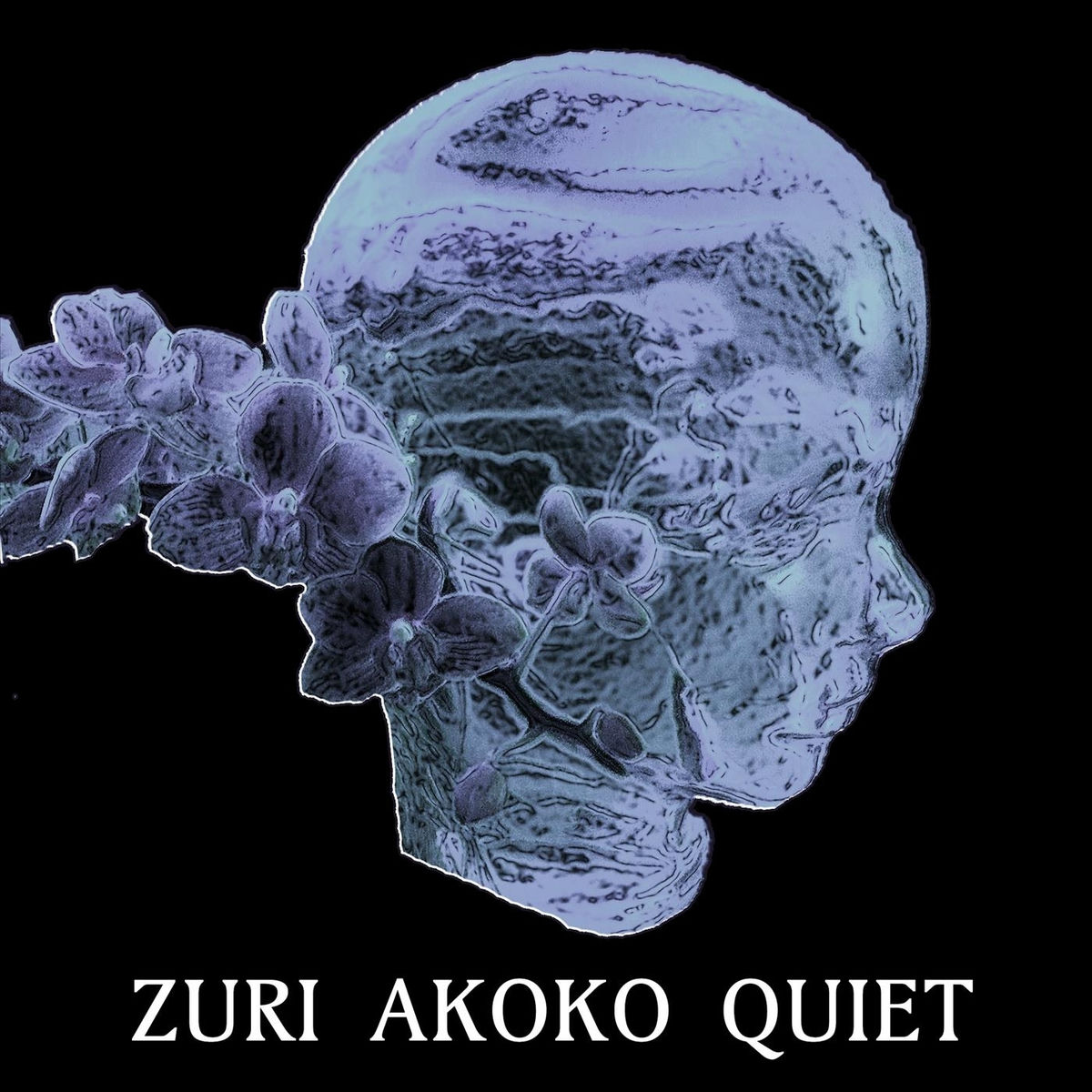 Album cover of Quiet