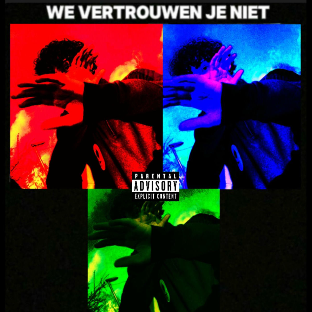 Album cover of We Vertrouwen Je Niet