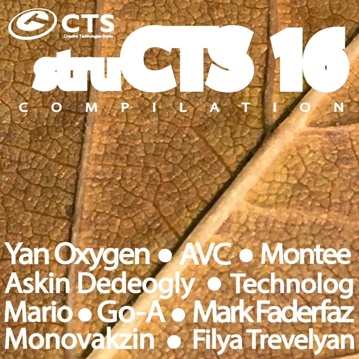 Album cover of struCTS, Vol.16
