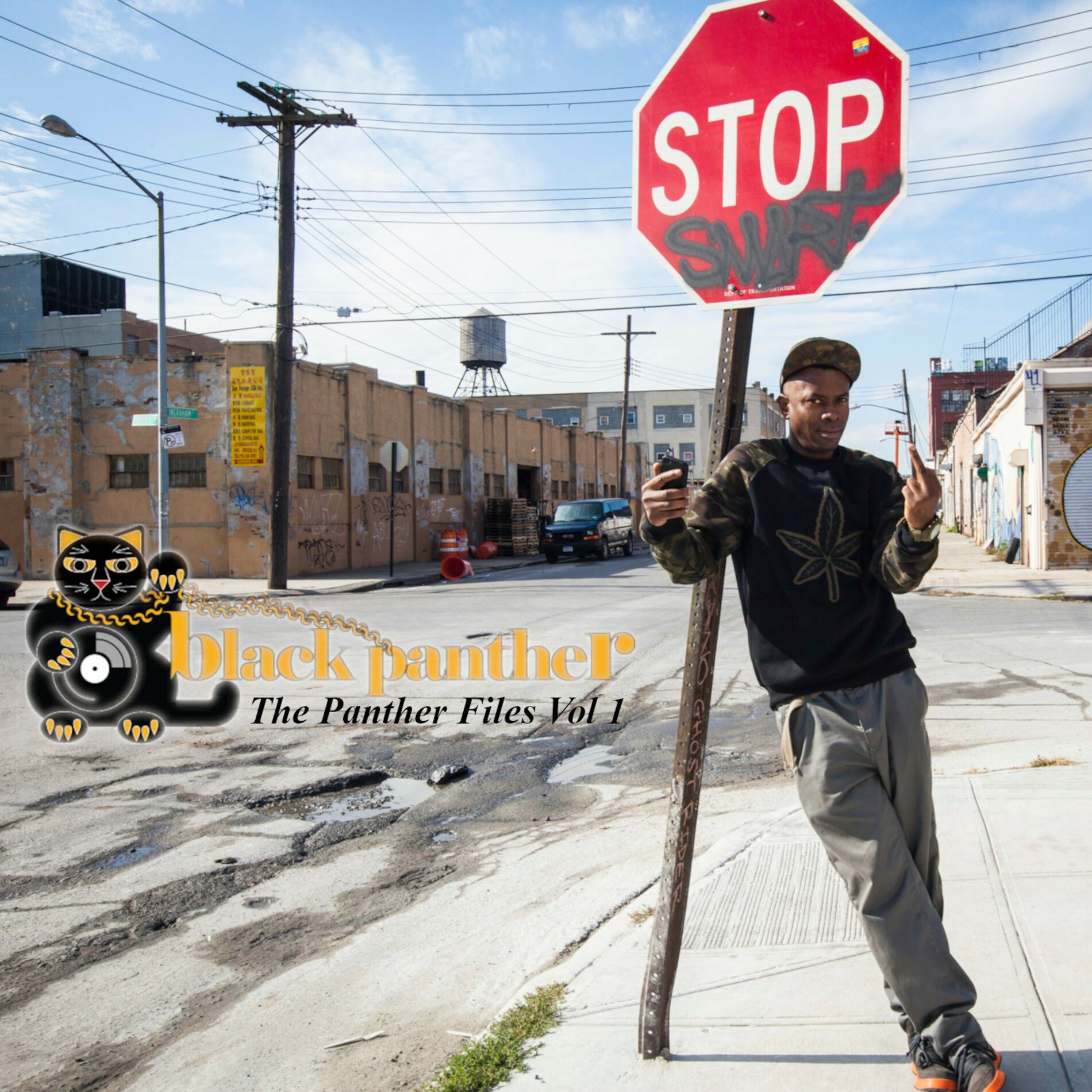 Album cover of The Panther Files Vol. 1