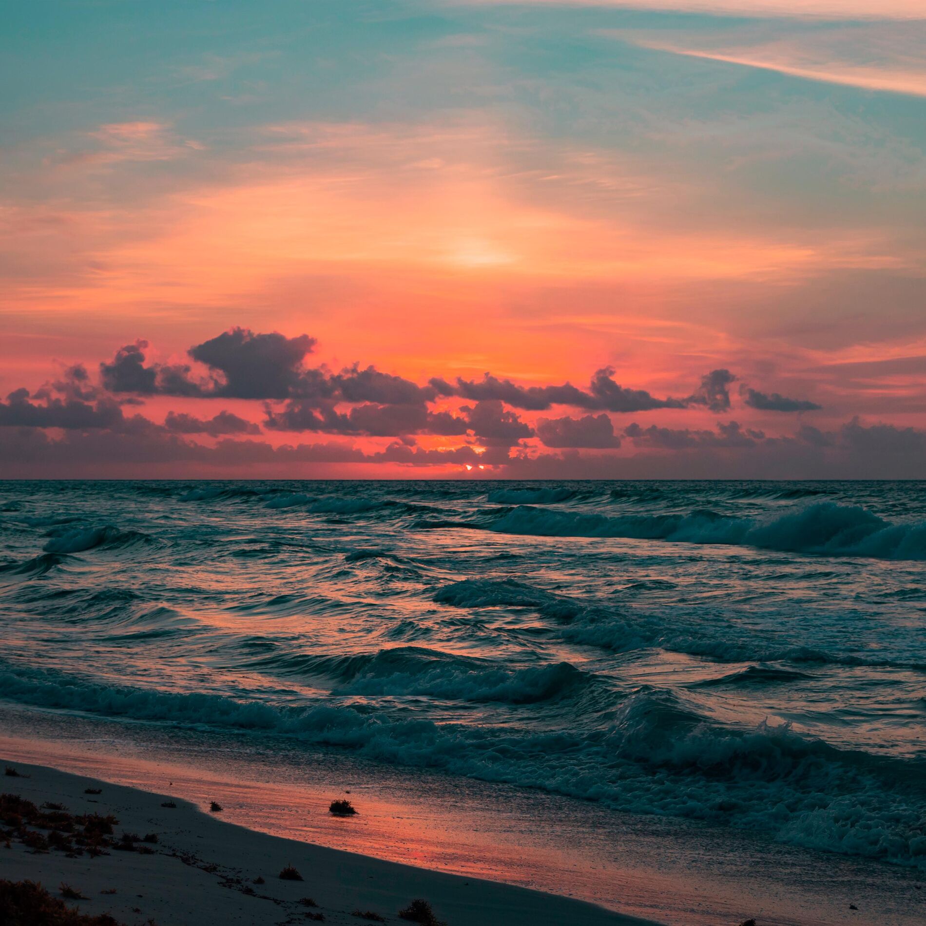 Album cover of Ocean