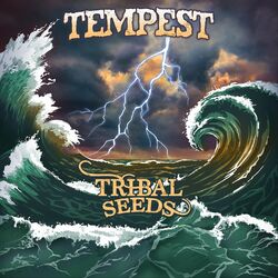 Cover of Tempest