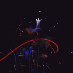 Cover of Vita Nova
