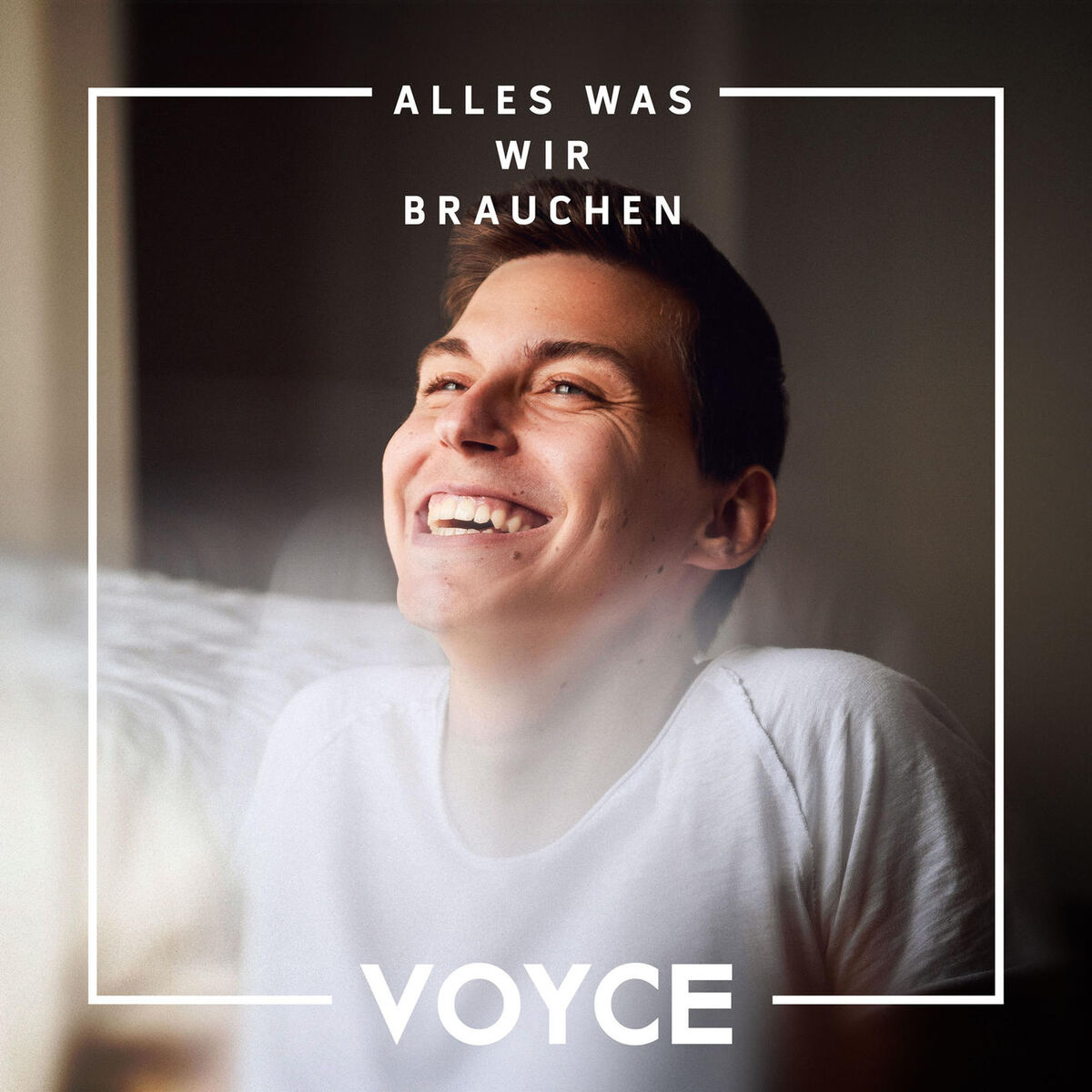 Album cover of Alles was wir brauchen