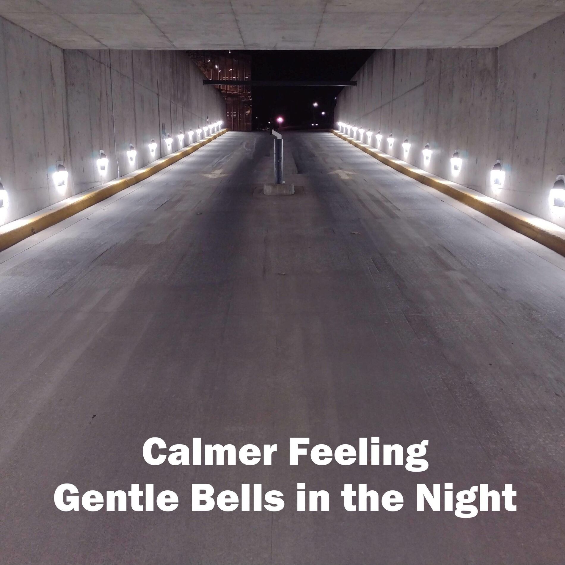 Album cover of Gentle Bells in the Night