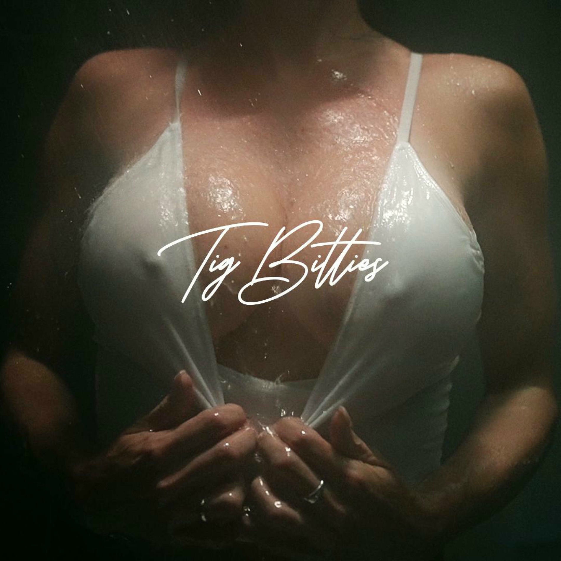 Album cover of Tig Bitties