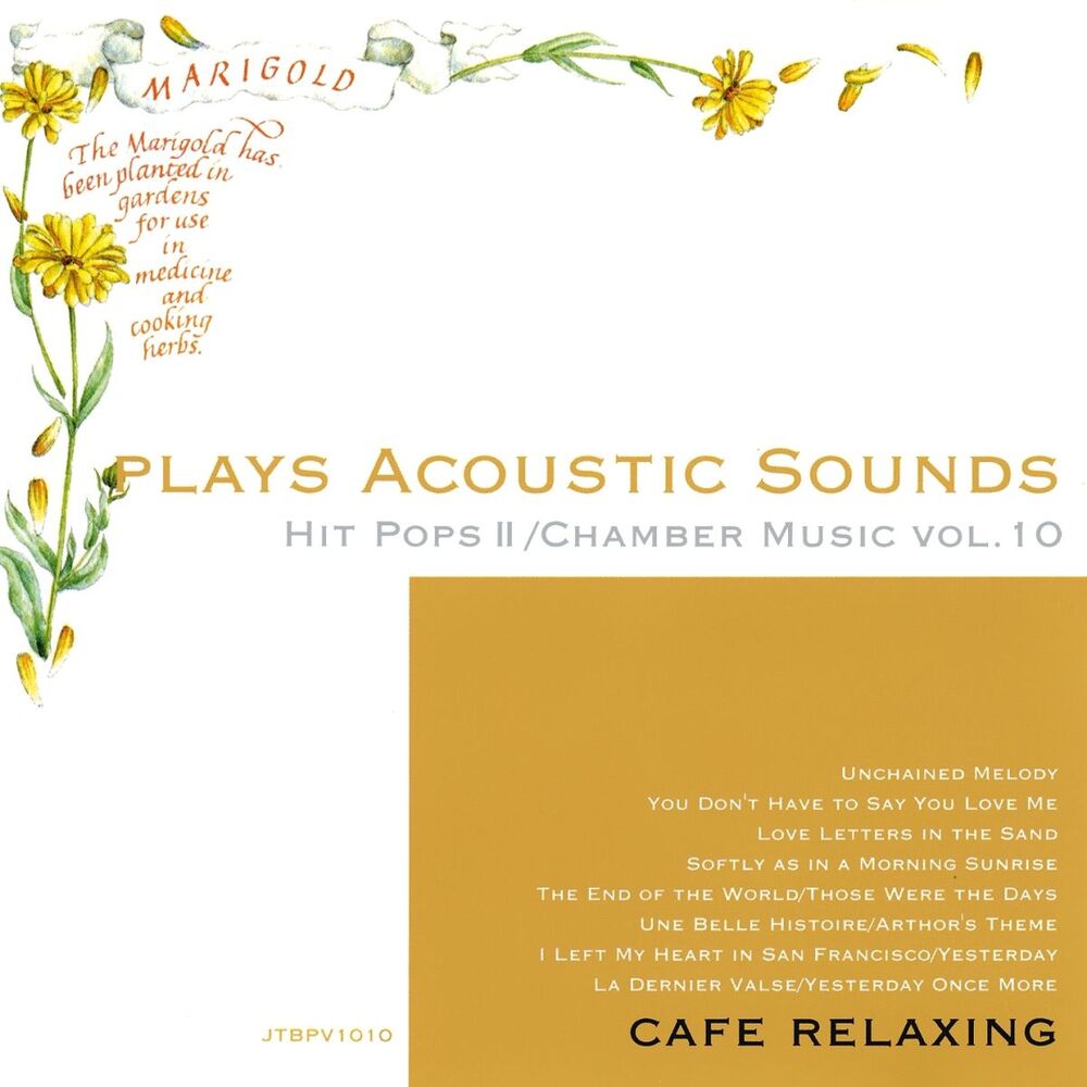Picture of Plays Acoustic Sounds: Hit Pops II, Chamber Music, Vol. 10