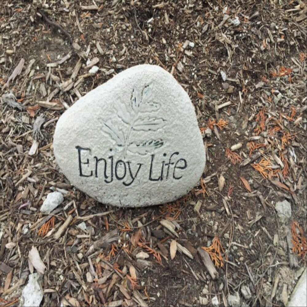 Picture of Enjoy Life
