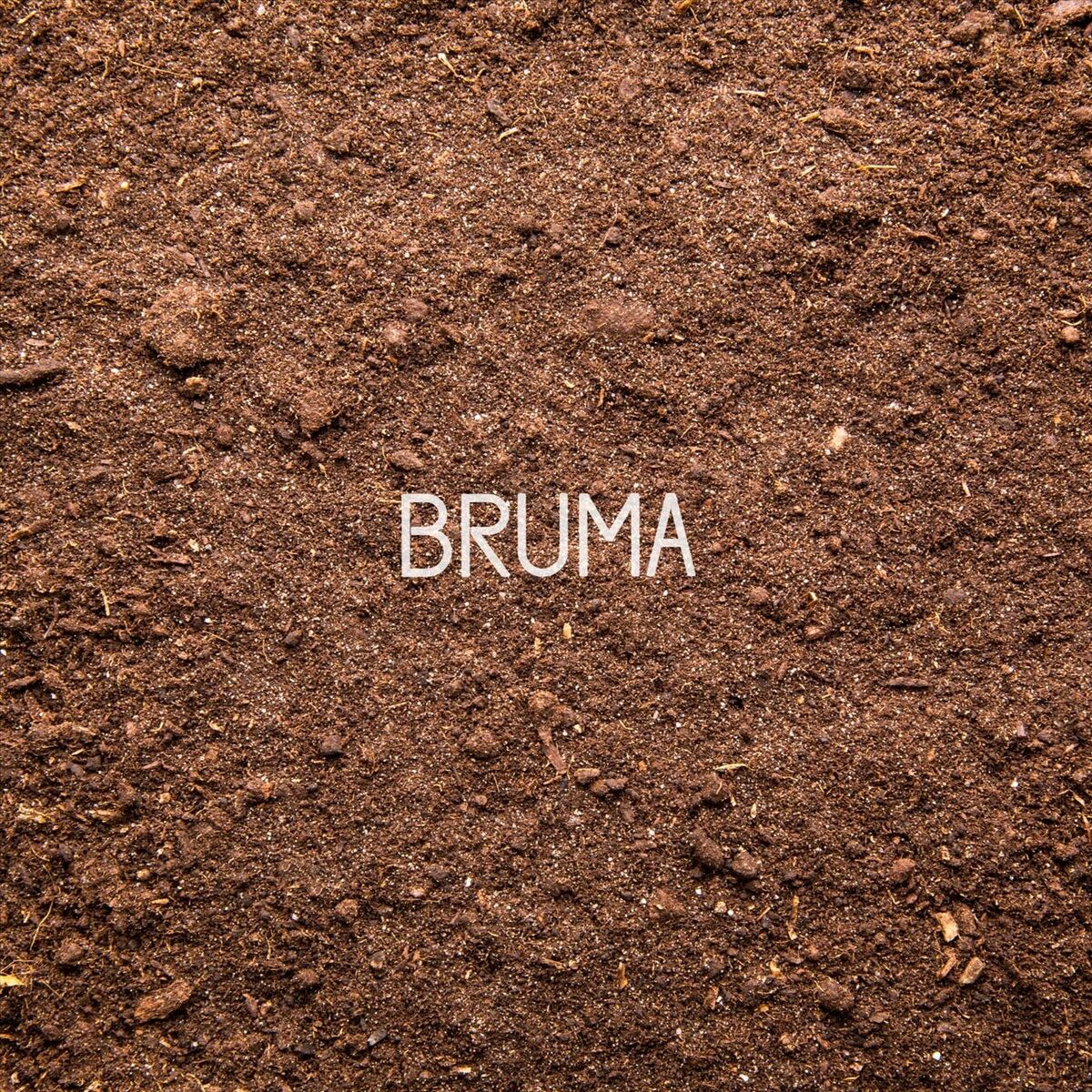 Album cover of Bruma