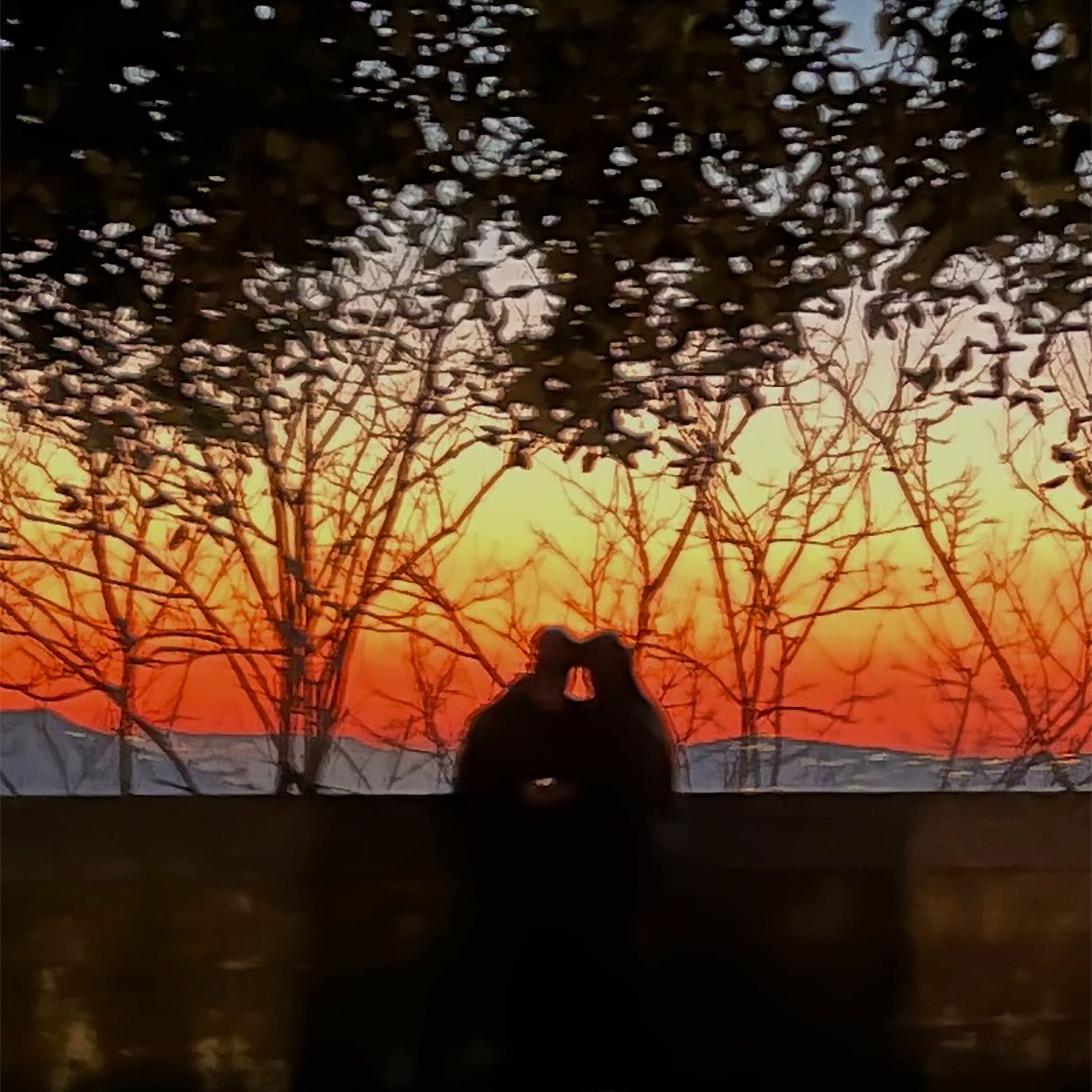 Album cover of AMANDOTI