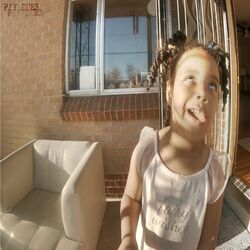 Cover of Pay Dues