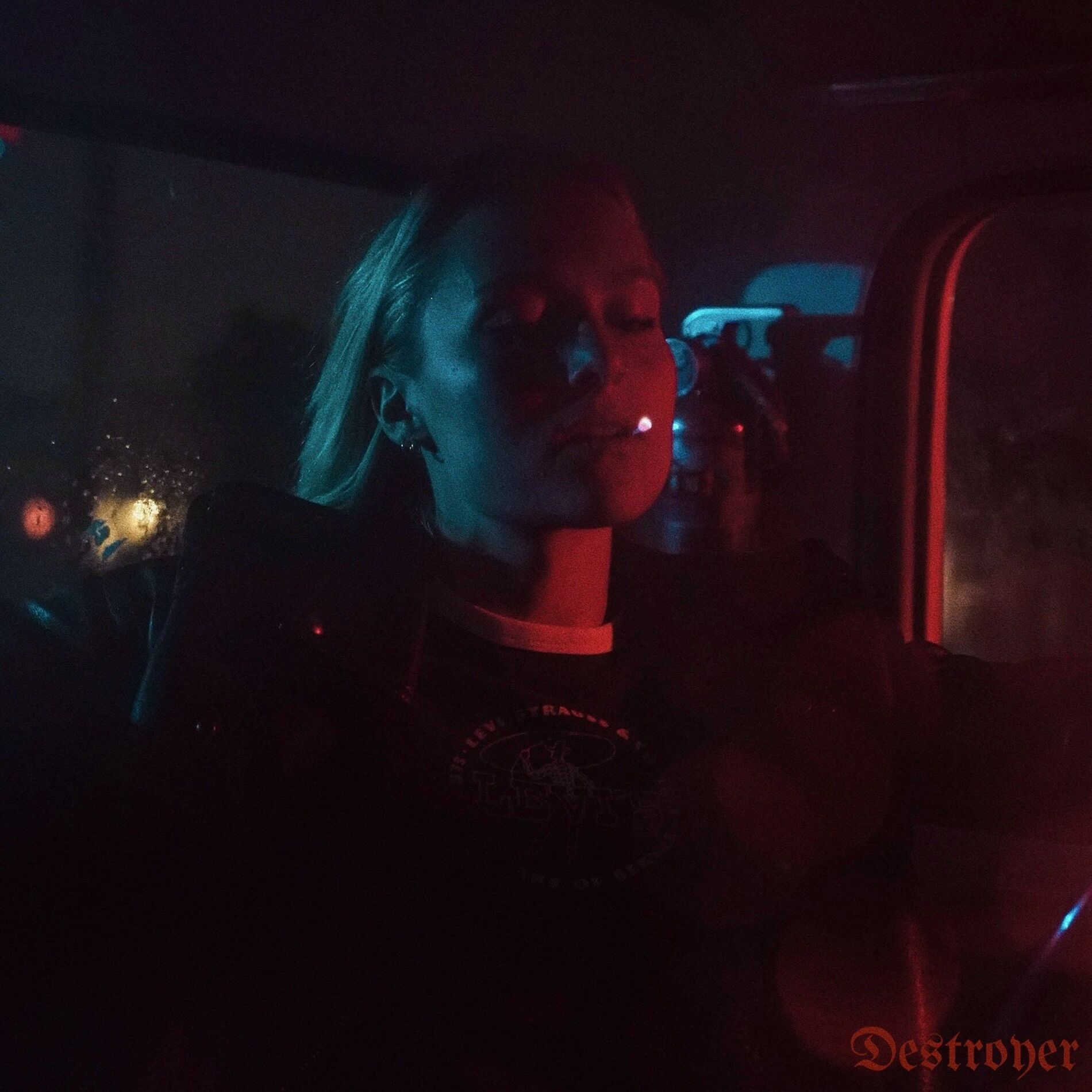 Album cover of Destroyer