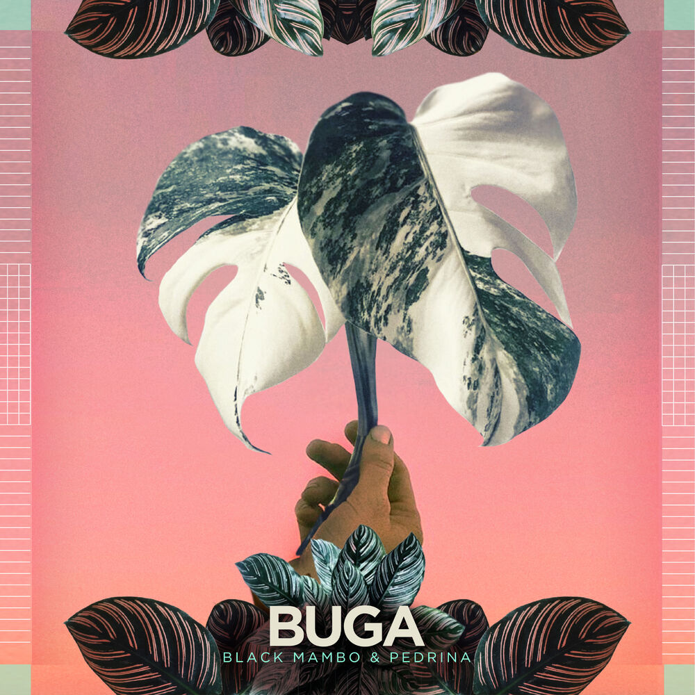 Picture of BUGA