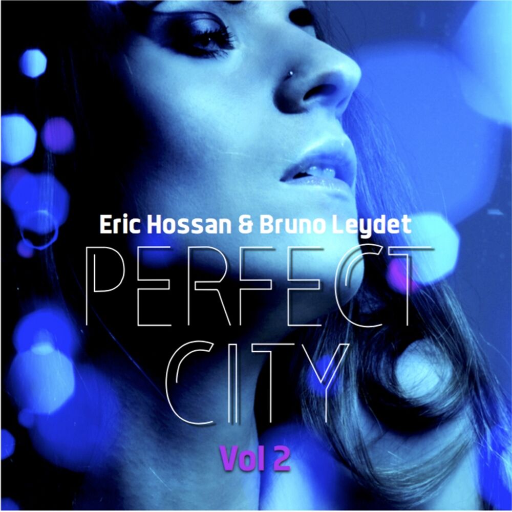 Picture of Perfect City, Vol. 2