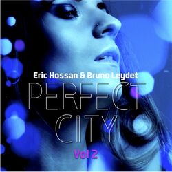 Cover of Perfect City, Vol. 2