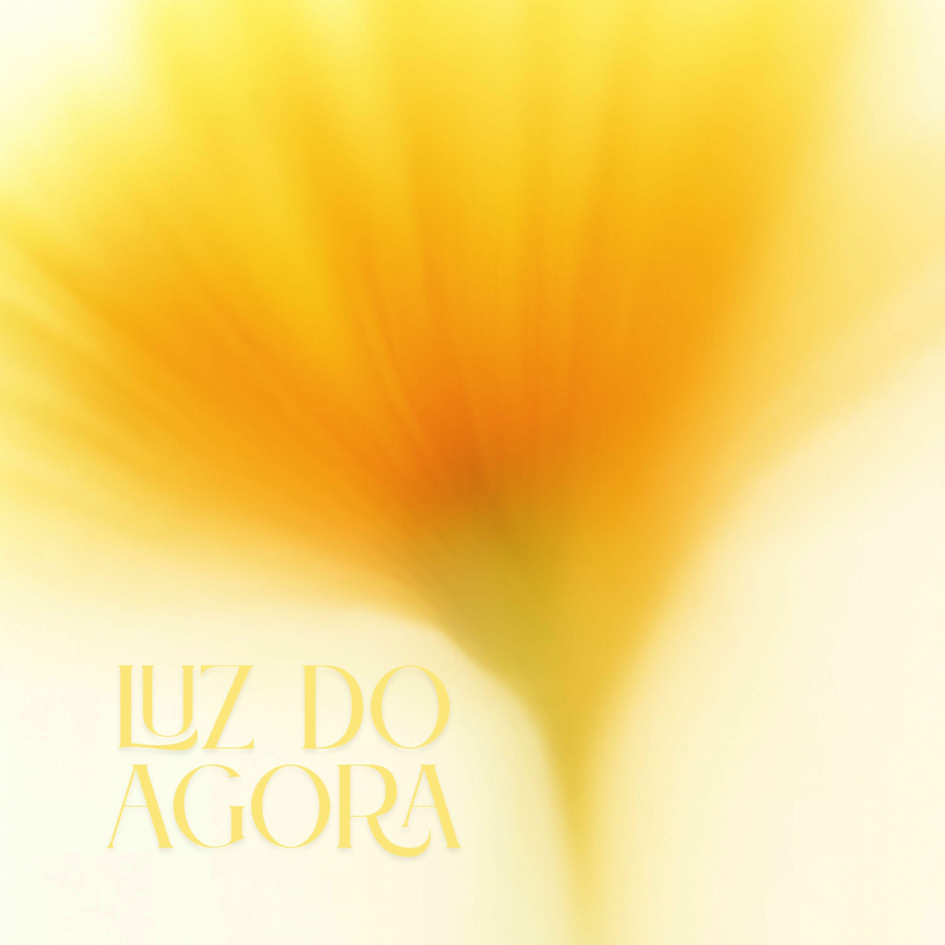 Album cover of Luz do Agora