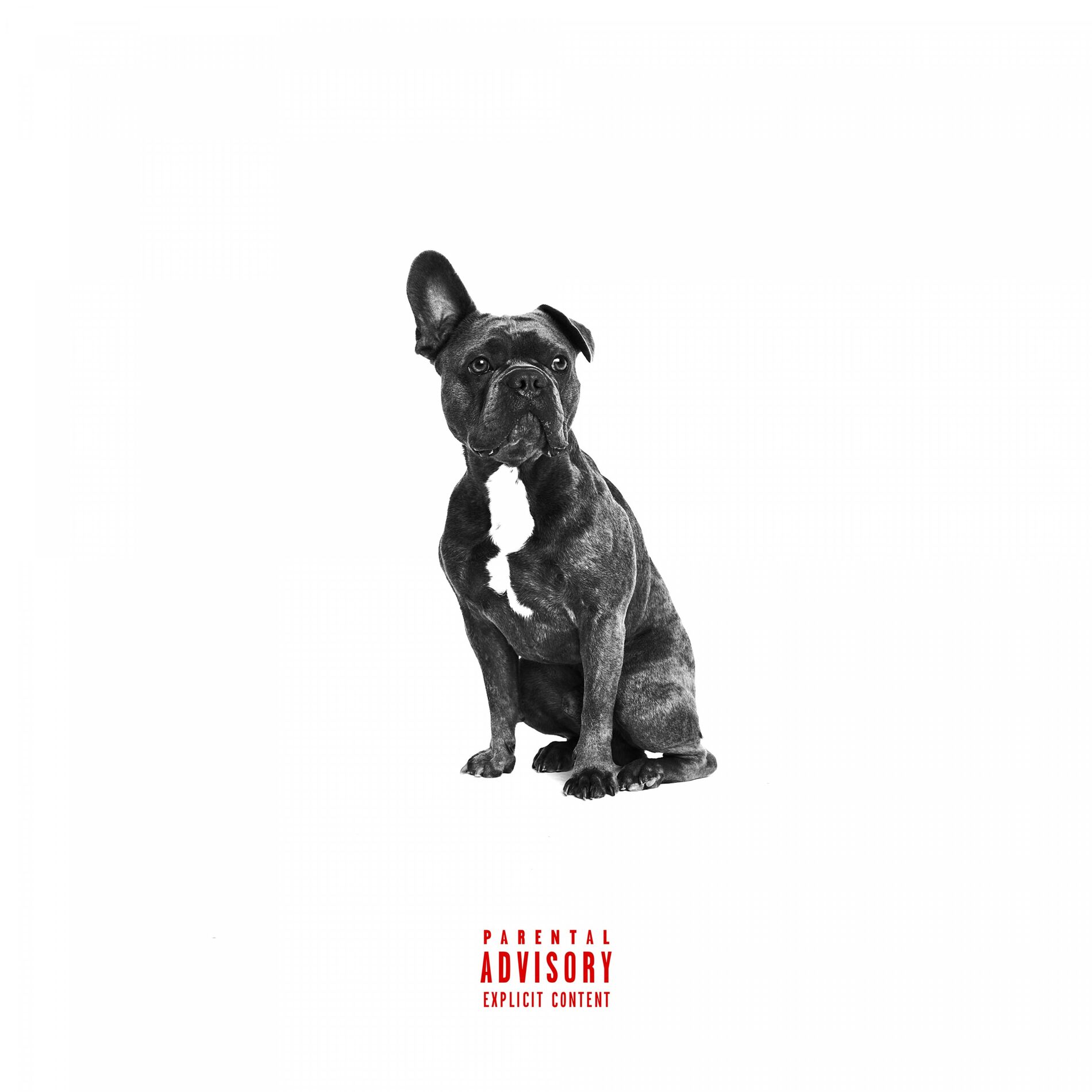 Album cover of Alpha