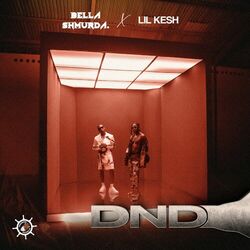 Cover of DND