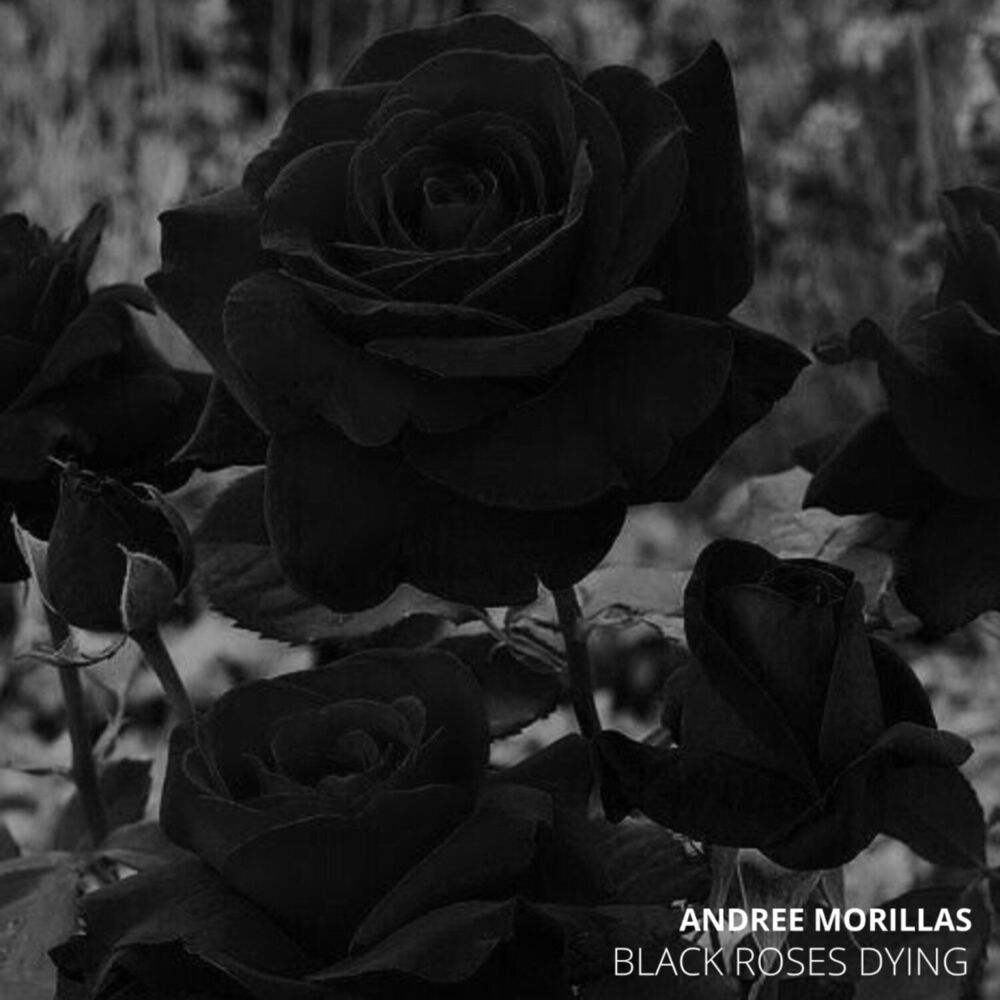 Picture of Black Roses Dying