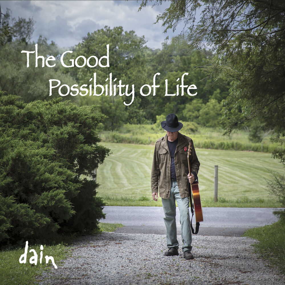 Picture of The Good Possibility of Life