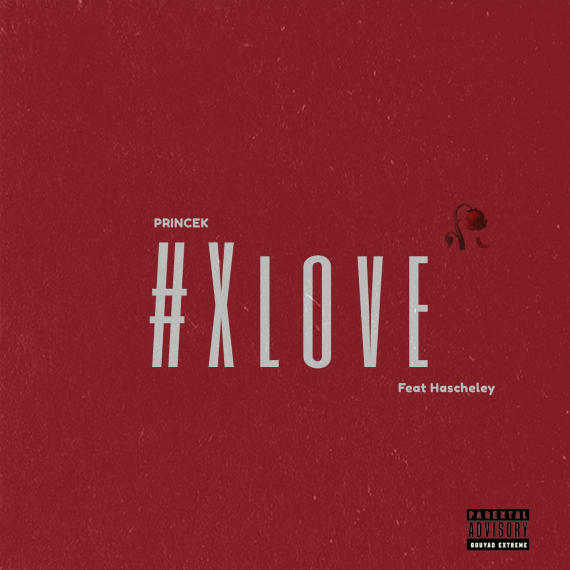 Album cover of Xlove (feat. Hascheley)
