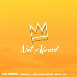 Cover of Not Afraid (feat. Legend'Son)
