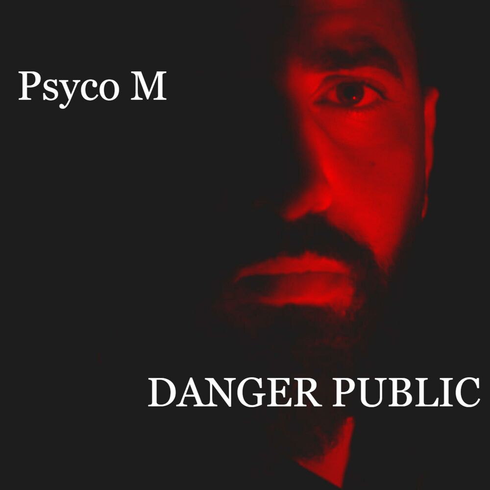 Picture of Danger Public
