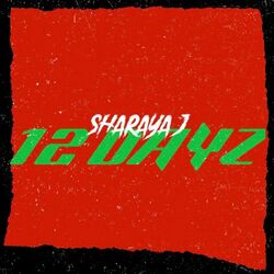 Cover of 12 Dayz