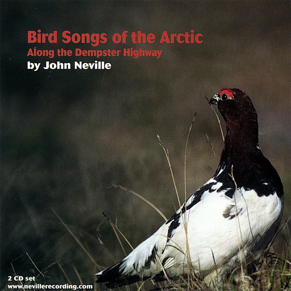 Picture of Bird Songs of the Arctic-Along the Dempster Highway