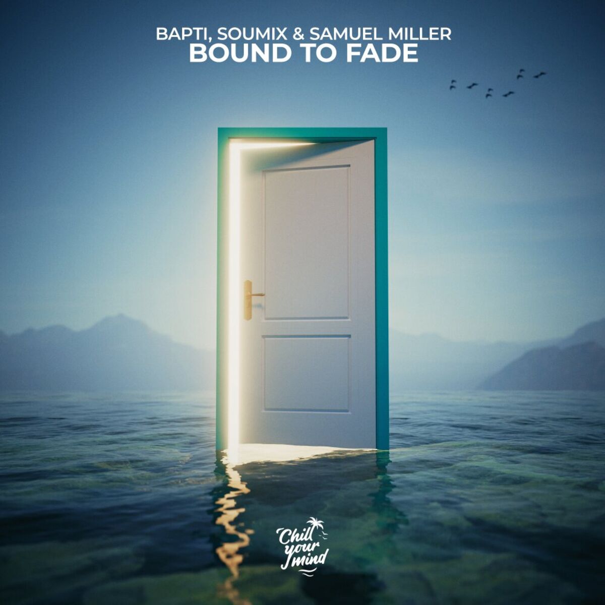 Album cover of Bound To Fade