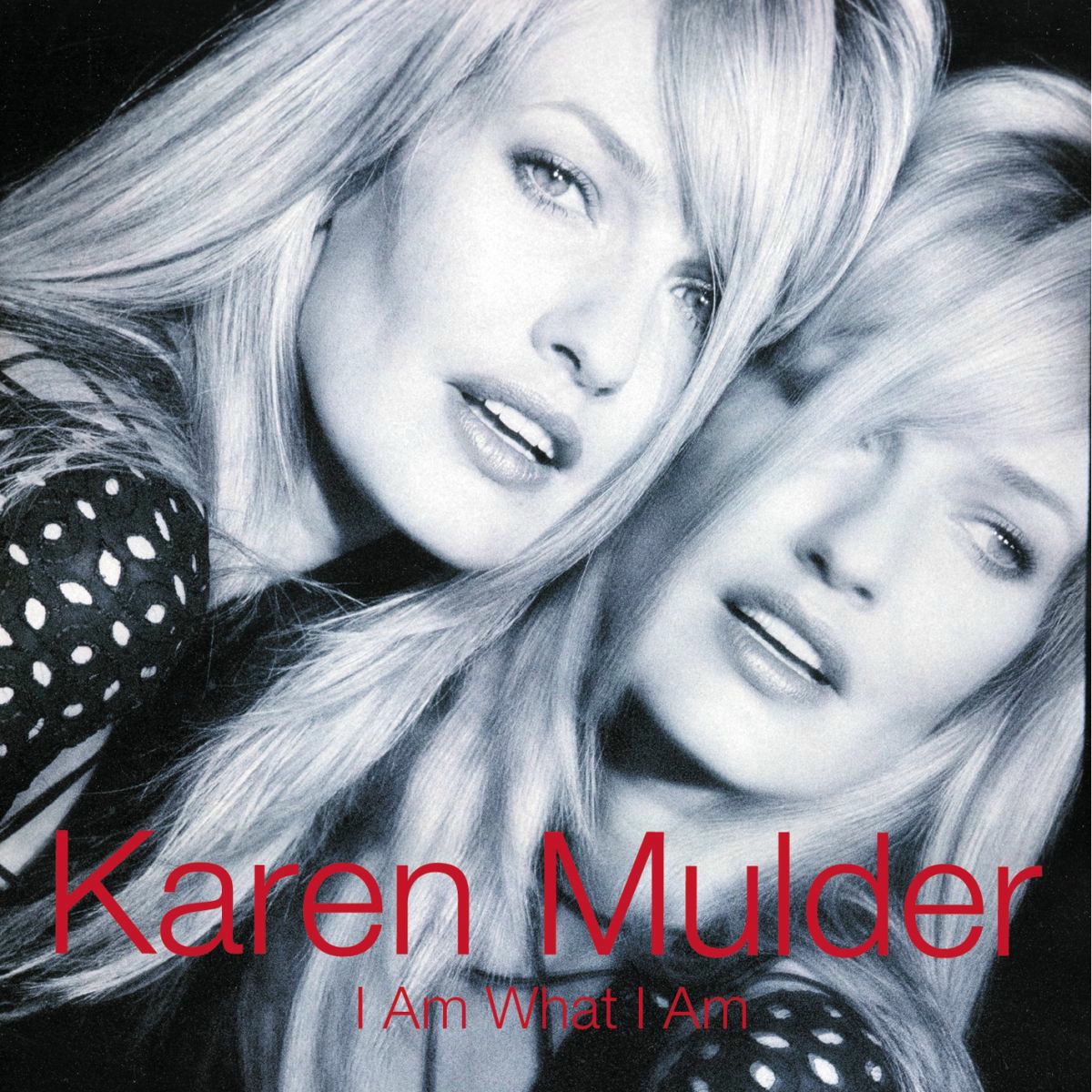 Album cover of I am what I am