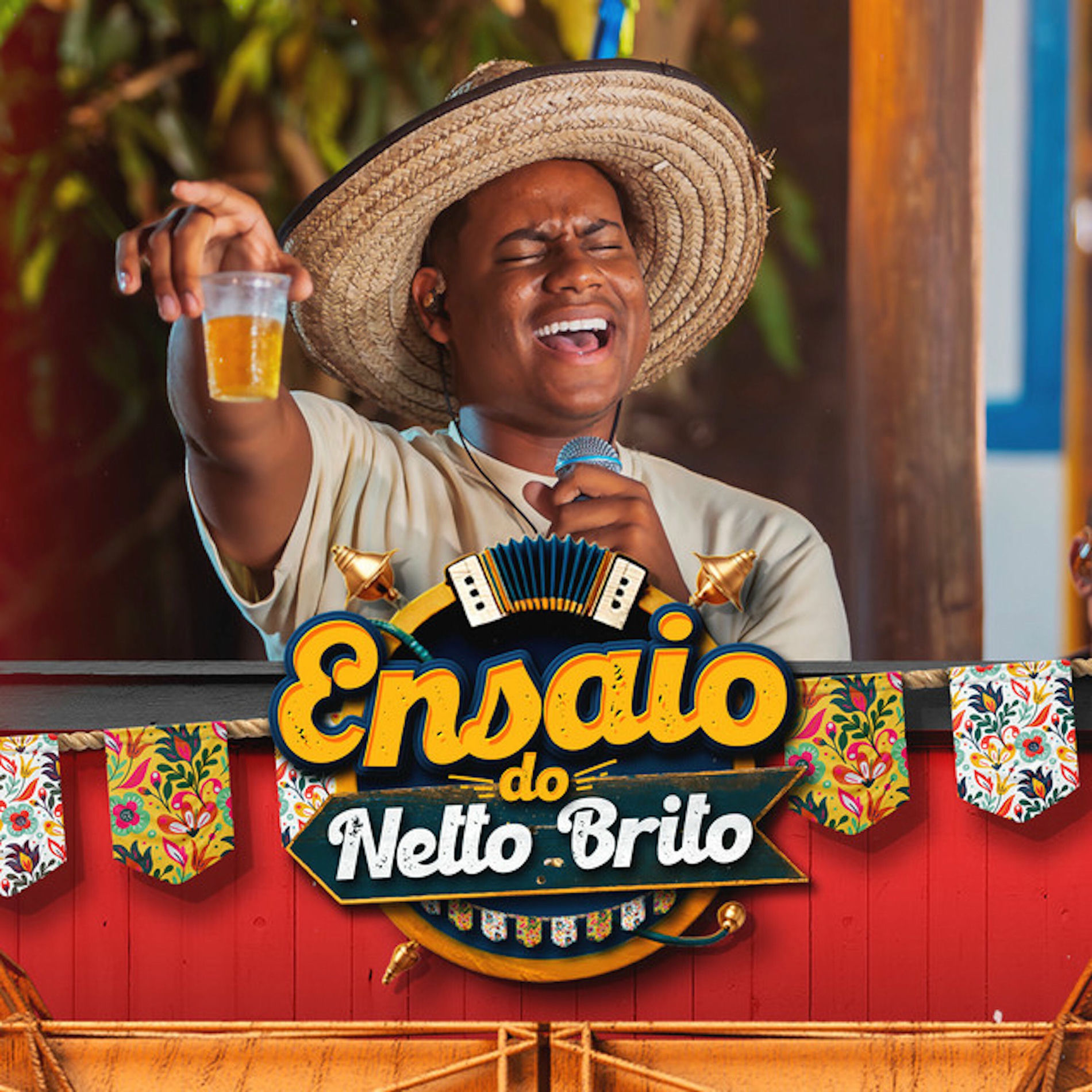Album cover of Ensaio do Netto Brito