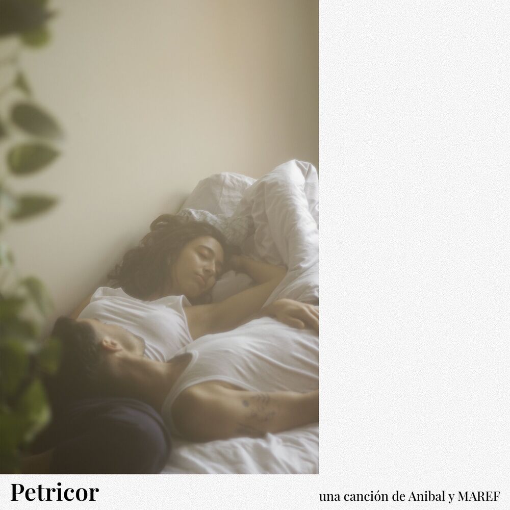 Picture of Petricor